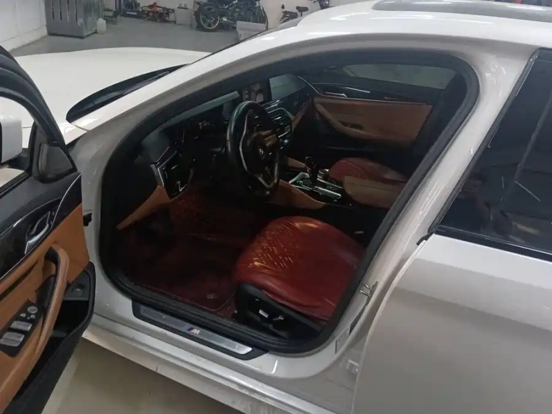 BMW BMW 5 Series 2019 530Li Luxury Premium M Sport Package