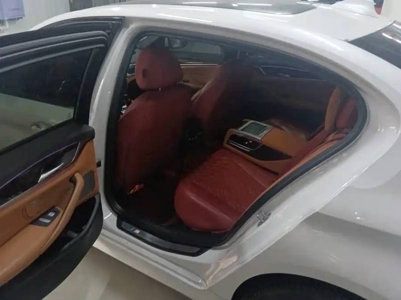 BMW BMW 5 Series 2019 530Li Luxury Premium M Sport Package