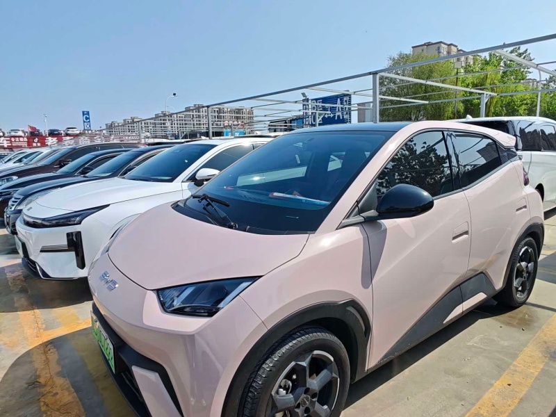 Seagull 2023 Edition Flying Version