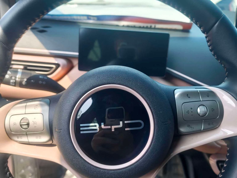 BYD Seagull 2023 Edition Flying Version