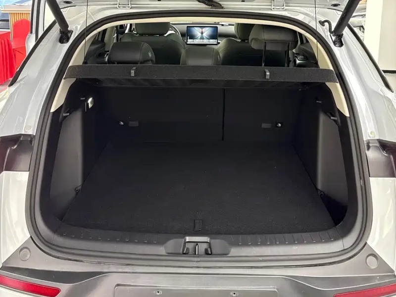 BYD BYD Yuan PLUS 2025 Intelligent Driving Edition 510KM Beyond Model