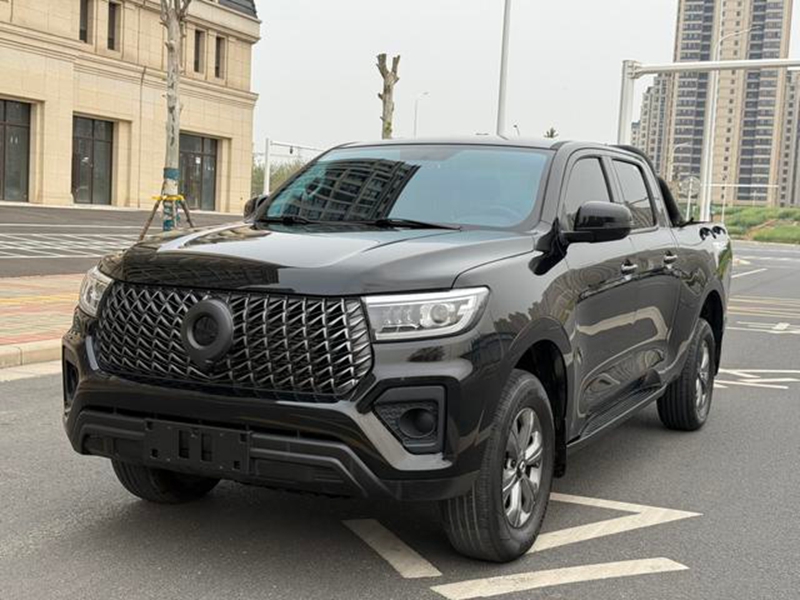 كانون 2023 النسخة التجارية 2.0T ديزل أوتوماتيك 4WD إيليت GW4D20M