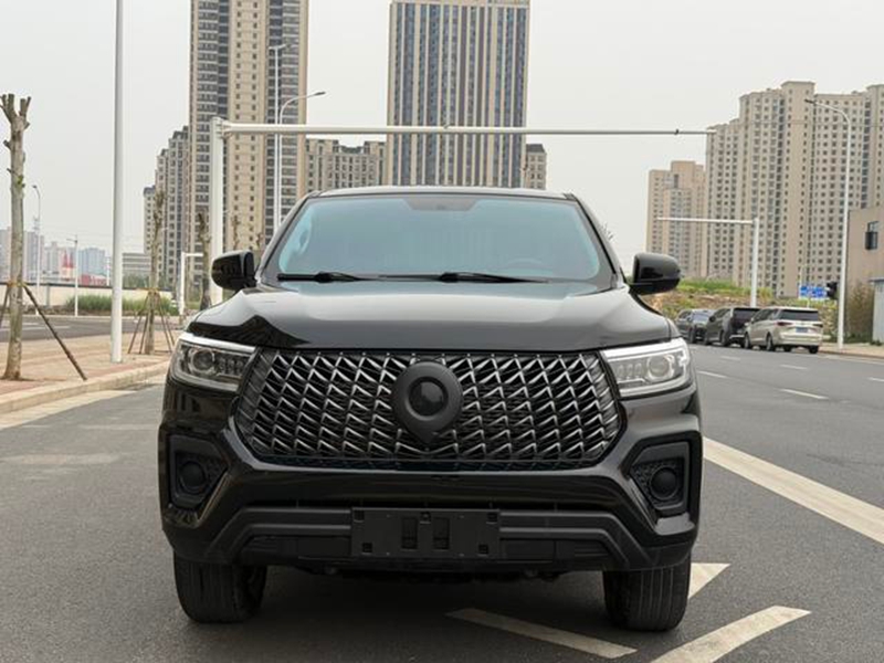 كانون 2023 النسخة التجارية 2.0T ديزل أوتوماتيك 4WD إيليت GW4D20M