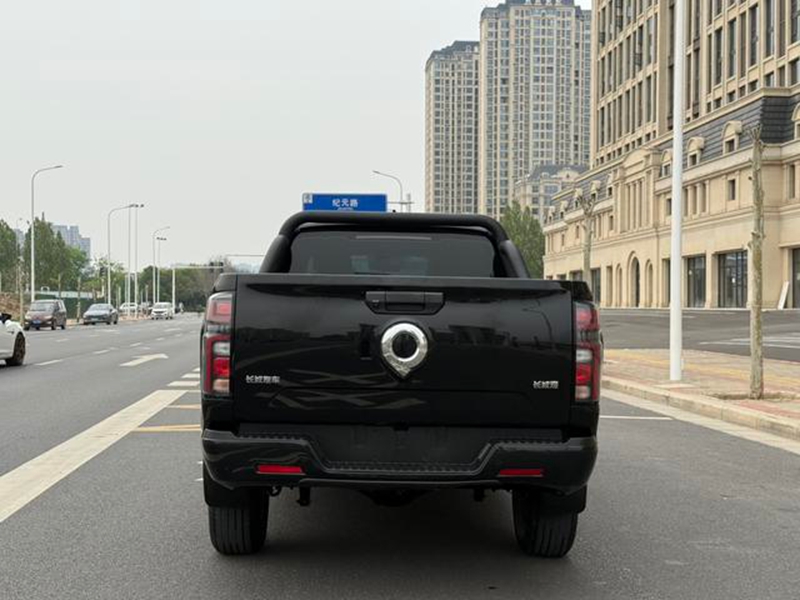 كانون 2023 النسخة التجارية 2.0T ديزل أوتوماتيك 4WD إيليت GW4D20M