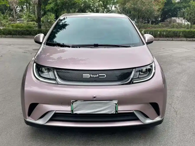 BYD Dolphin 2023 Model 420km Free Edition