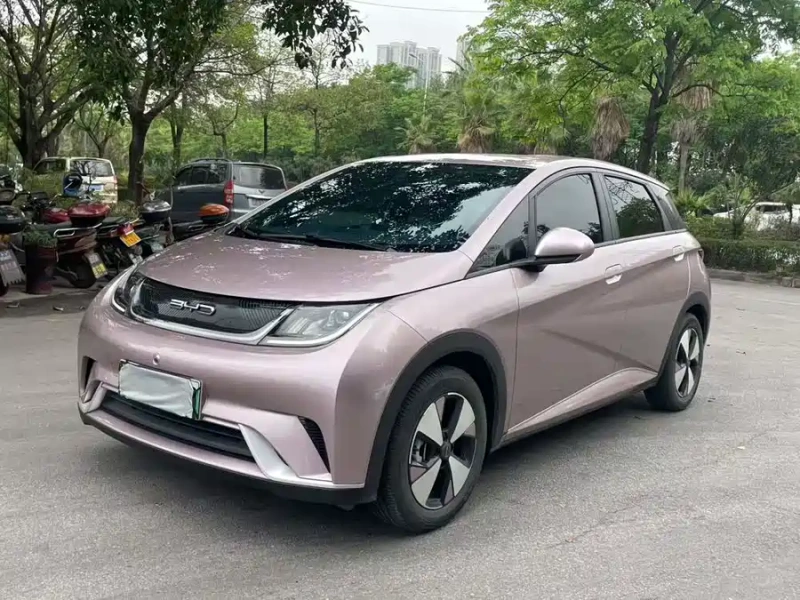 BYD Dolphin 2023 Model 420km Free Edition