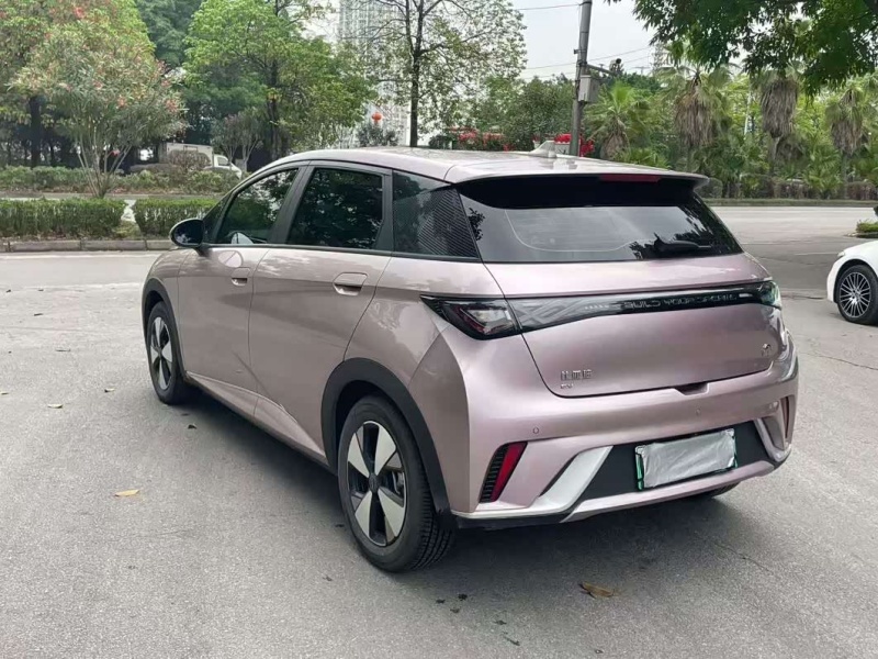 BYD Dolphin 2023 Model 420km Free Edition