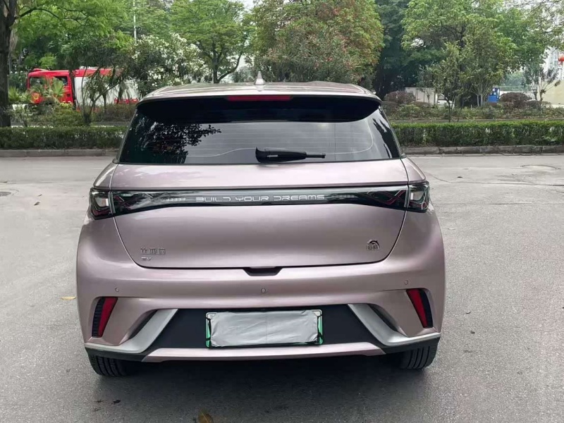 BYD Dolphin 2023 Model 420km Free Edition