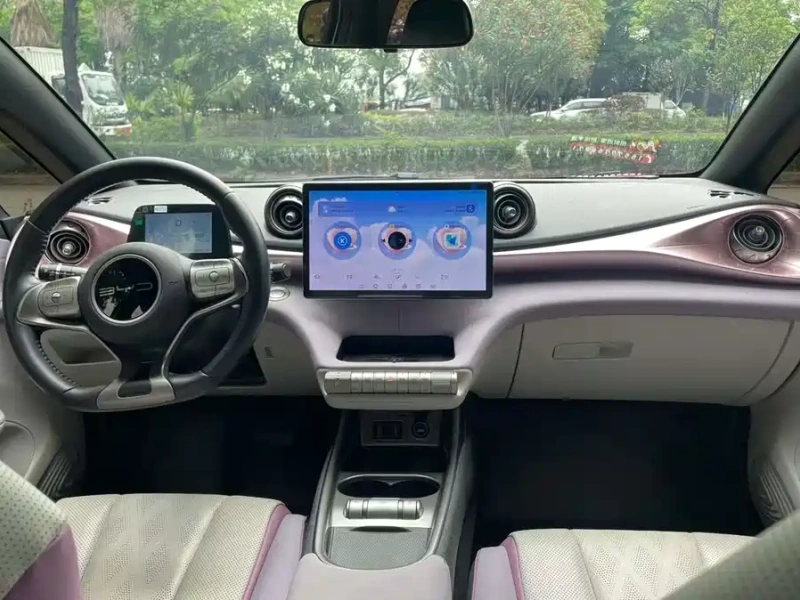 BYD Dolphin 2023 Model 420km Free Edition