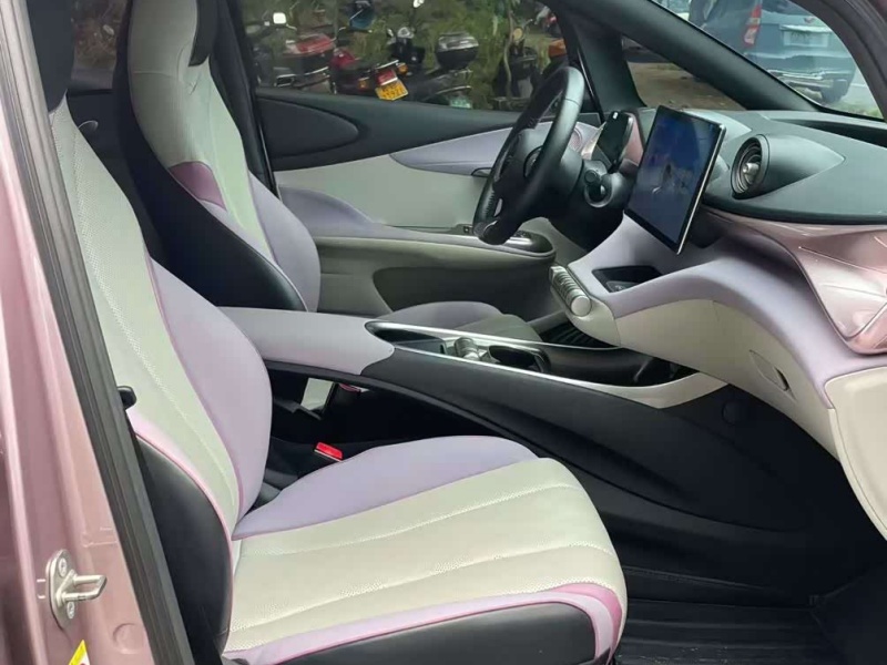 BYD Dolphin 2023 Model 420km Free Edition