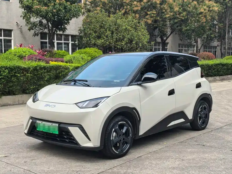 Seagull 2024 Honor Edition 405km Flying Edition