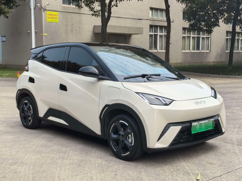 BYD Seagull 2024 Honor Edition 405km Flying Edition