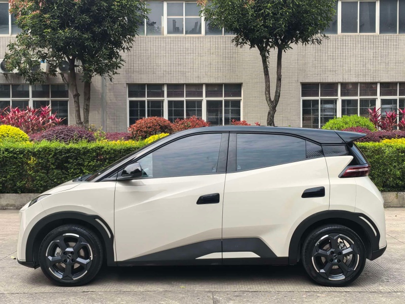 BYD Seagull 2024 Honor Edition 405km Flying Edition