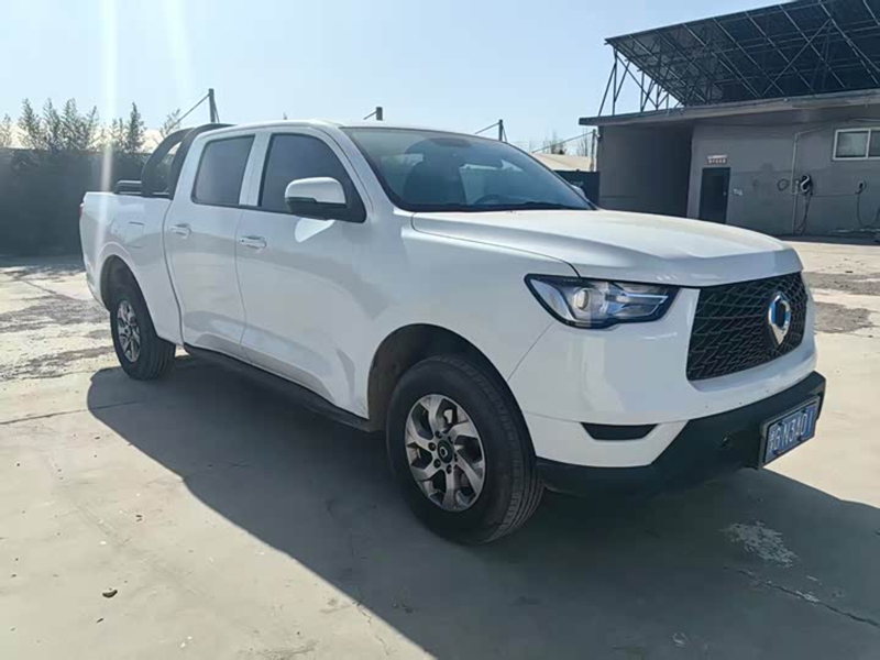 Great Wall 2021 2.0T Commercial Version Manual Diesel 4WD Elite Long Box GW4D20M