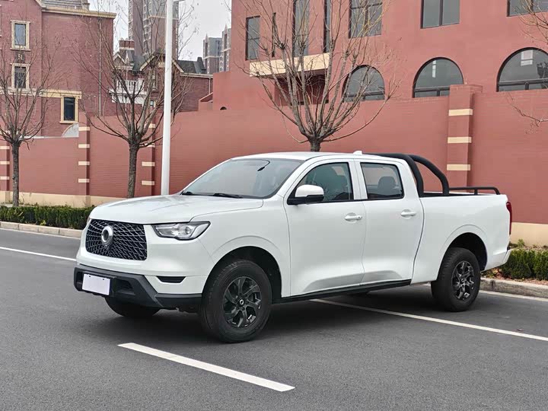 Cannon 2021 2.0T Commercial Version Automatic Gasoline Two-Wheel Drive Navigator Long Box GW4C20B