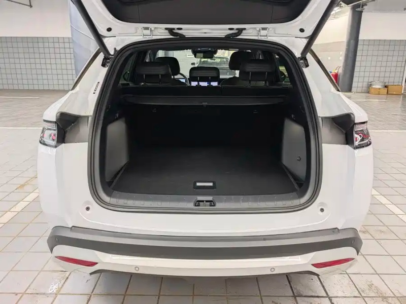 BYD BYD Song L DM-i 2025 Intelligent Driving Edition 160km Beyond Edition