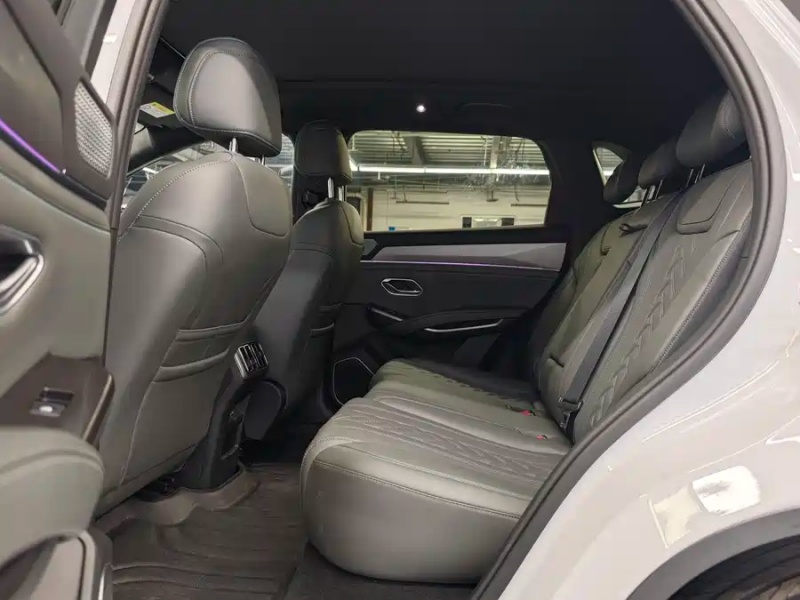 BYD BYD Song L DM-i 2025 Intelligent Driving Edition 160km Beyond Edition
