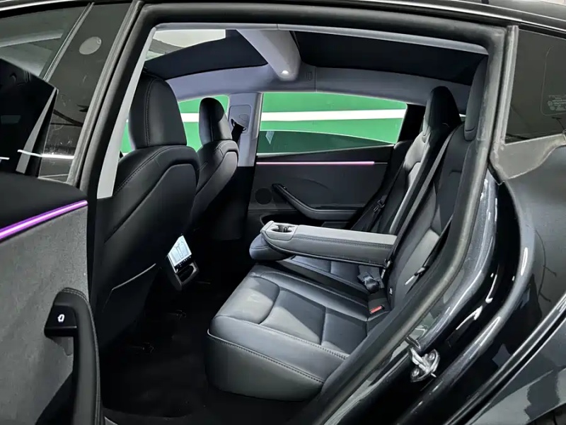 Tesla Tesla Model 3 2025  Rear-Wheel Drive