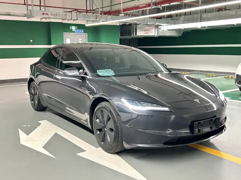 Tesla Tesla Model 3 2025  Rear-Wheel Drive