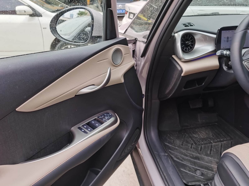 BYD Dolphin 2025 Model Intelligent Driving Edition 410km 