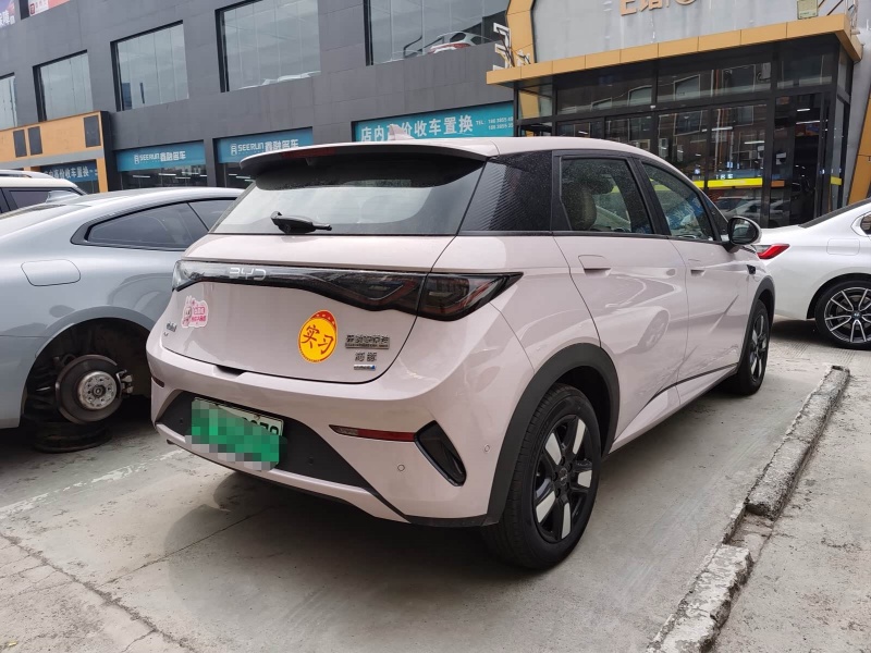 BYD Dolphin 2025 Model Intelligent Driving Edition 410km 