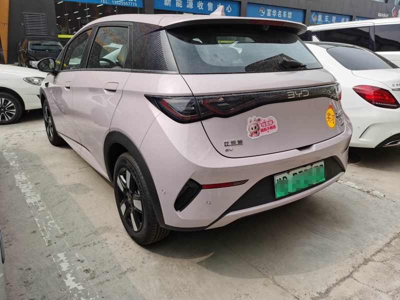 BYD Dolphin 2025 Model Intelligent Driving Edition 410km 