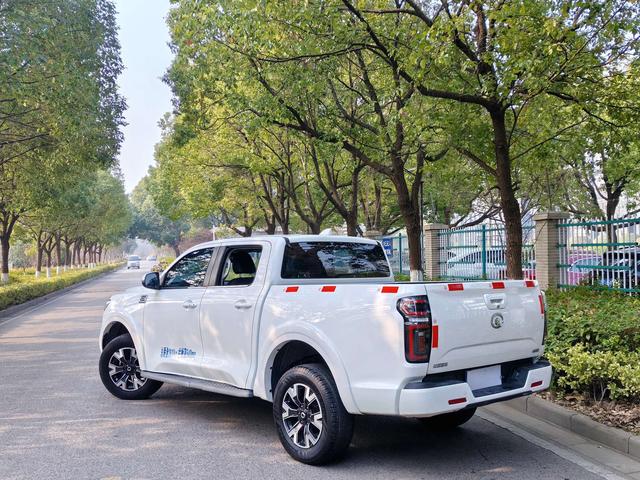 Great Wall Great Wall Pao 2020 Passenger 2.0T Diesel 2WD Comfort Standard Box GW4D20M edition