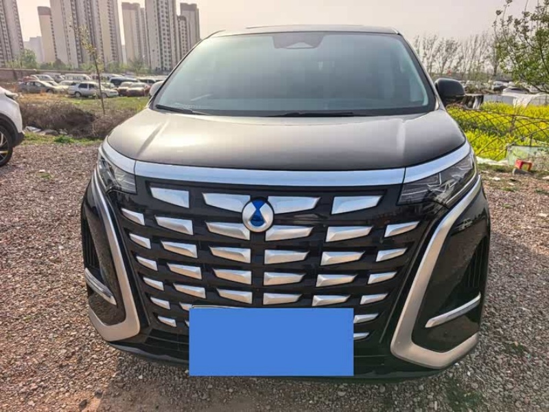 Denza Denza D9 2024 DM-i 980 4WD Honor Edition