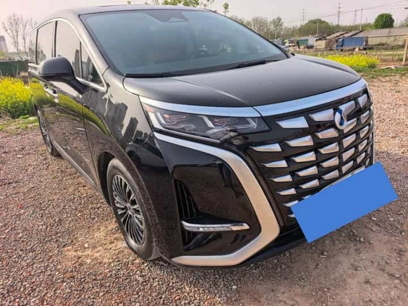 Denza Denza D9 2024 DM-i 980 4WD Honor Edition