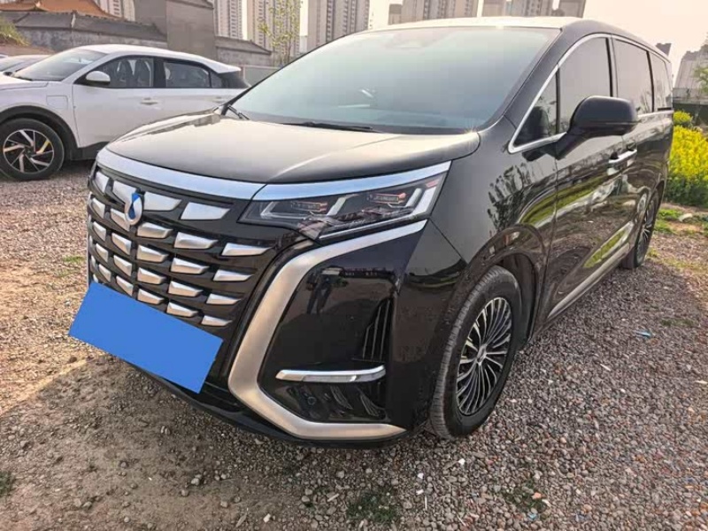 Denza D9 2024 DM-i 980 4WD Honor Edition