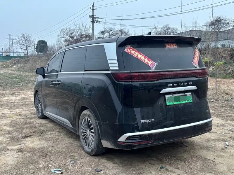 Denza Denza D9 2024 DM-i 1050 Premium