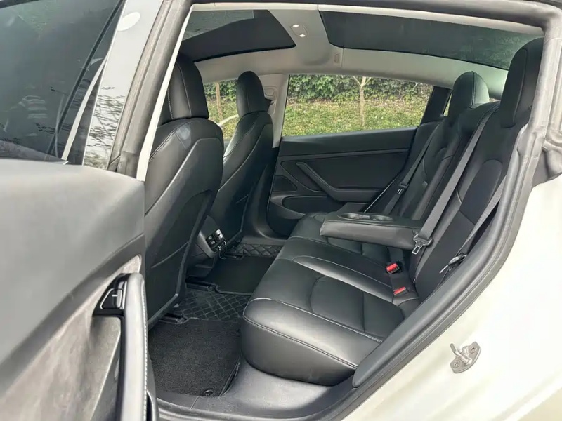 Tesla Tesla Model 3 2020 Standard Range Rear-Wheel Drive Upgrade Version