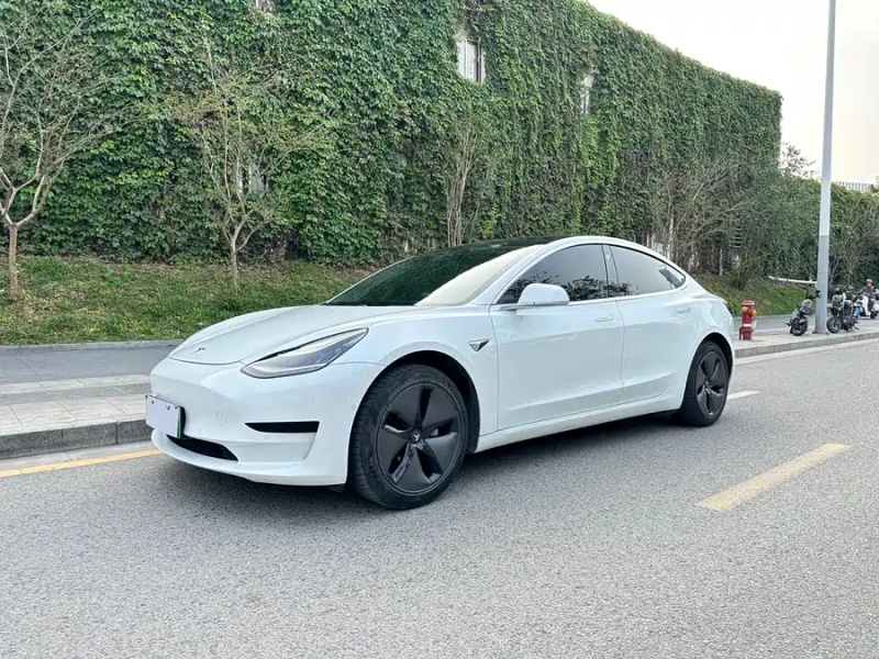 Tesla Model 3 2020 Standard Range Rear-Wheel Drive Upgrade Version