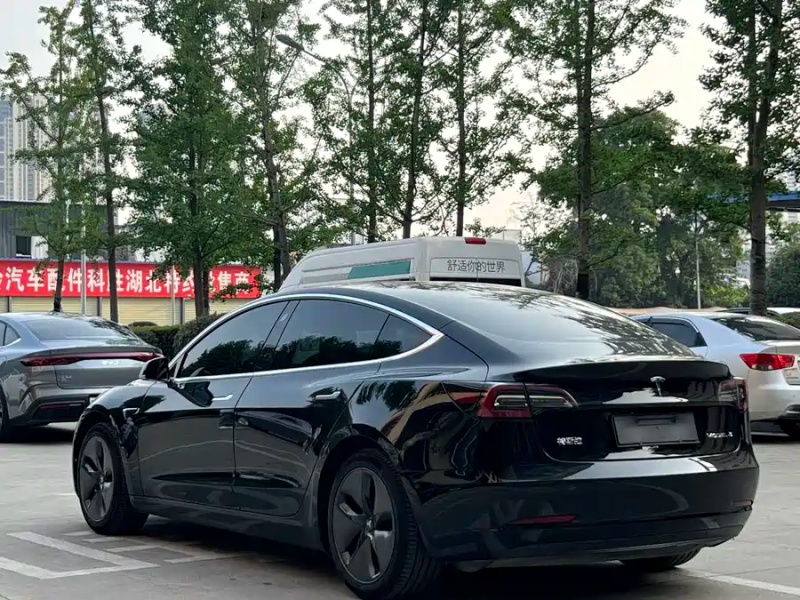 Tesla Tesla Model 3 2020 Standard Range Rear-Wheel Drive