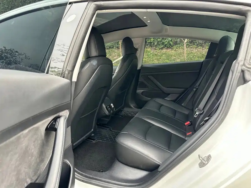 Tesla Tesla Model 3 2020 Standard Range Rear-Wheel Drive Upgrade Version