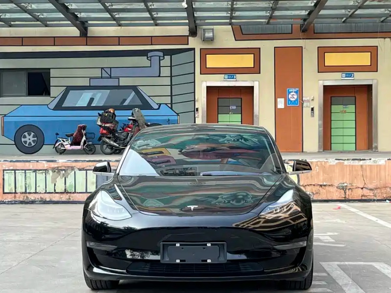 Tesla Tesla Model 3 2020 Standard Range Rear-Wheel Drive