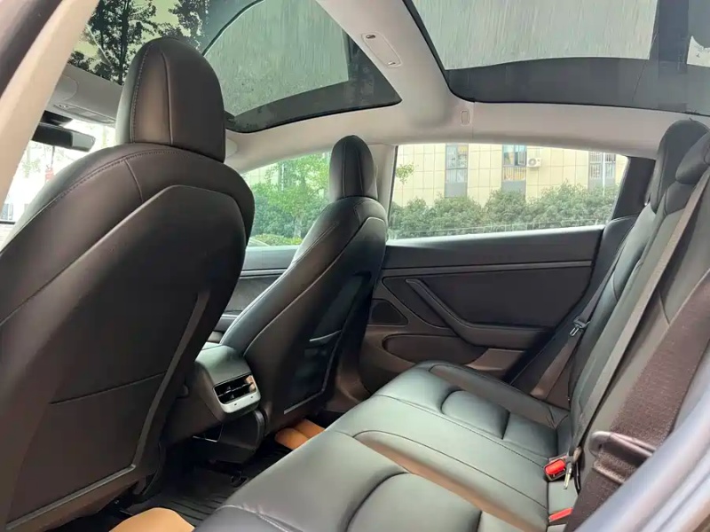 Tesla Tesla Model 3 2020 Standard Range Rear-Wheel Drive