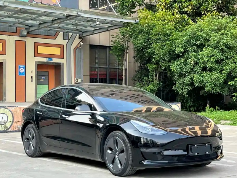 Tesla Tesla Model 3 2020 Standard Range Rear-Wheel Drive