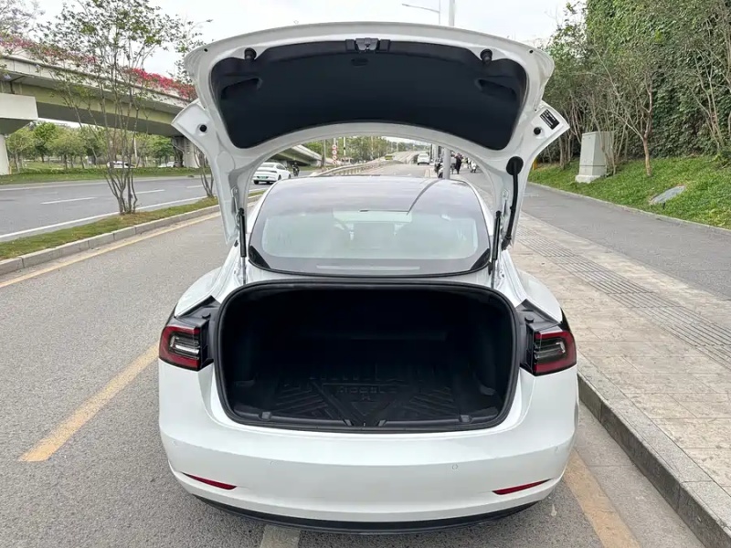 Tesla Tesla Model 3 2020 Standard Range Rear-Wheel Drive Upgrade Version