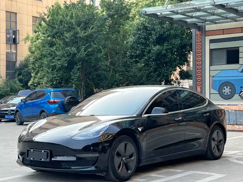 Tesla Model 3 2020 Standard Range Rear-Wheel Drive