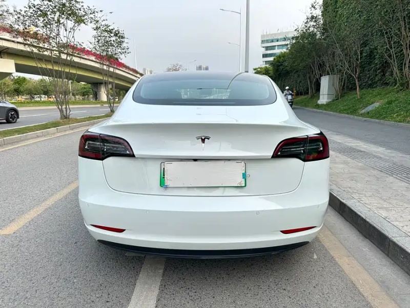 Tesla Tesla Model 3 2020 Standard Range Rear-Wheel Drive Upgrade Version