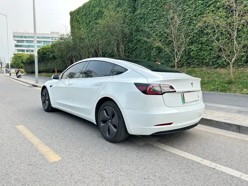 Tesla Tesla Model 3 2020 Standard Range Rear-Wheel Drive Upgrade Version