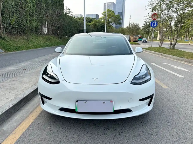 Tesla Tesla Model 3 2020 Standard Range Rear-Wheel Drive Upgrade Version
