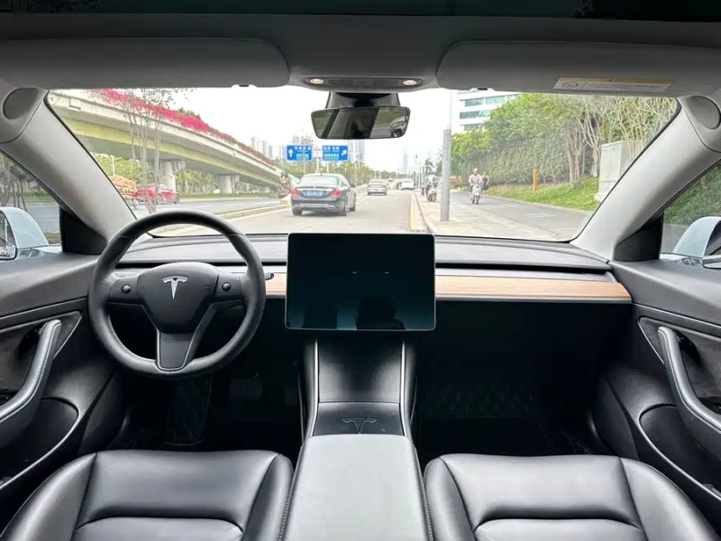 Tesla Tesla Model 3 2020 Standard Range Rear-Wheel Drive Upgrade Version