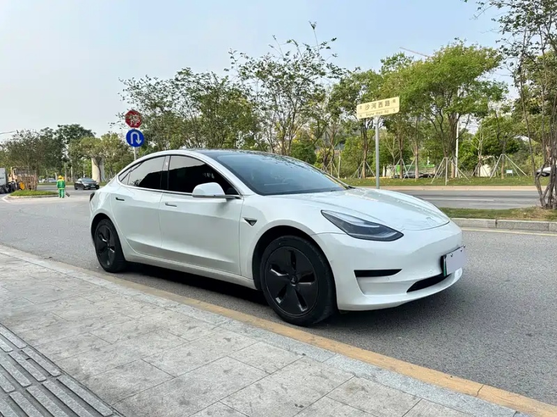 Tesla Tesla Model 3 2020 Standard Range Rear-Wheel Drive Upgrade Version