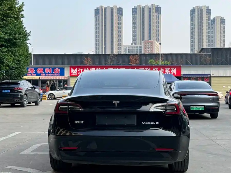 Tesla Tesla Model 3 2020 Standard Range Rear-Wheel Drive
