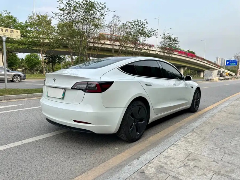 Tesla Tesla Model 3 2020 Standard Range Rear-Wheel Drive Upgrade Version