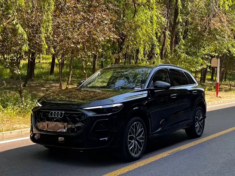Audi Audi Q5L 2026 2.0T Ten Million Users Exclusive Edition