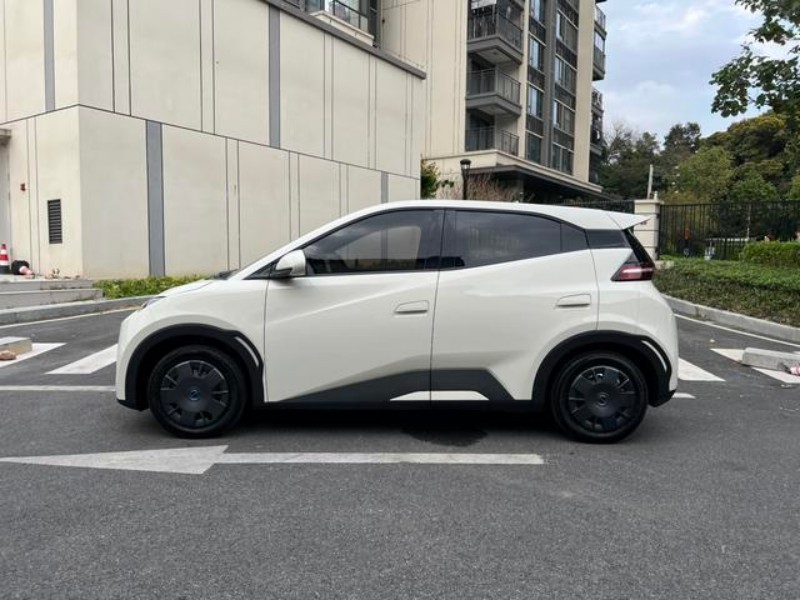 BYD BYD Seagull 2025 305KM Vitality Edition