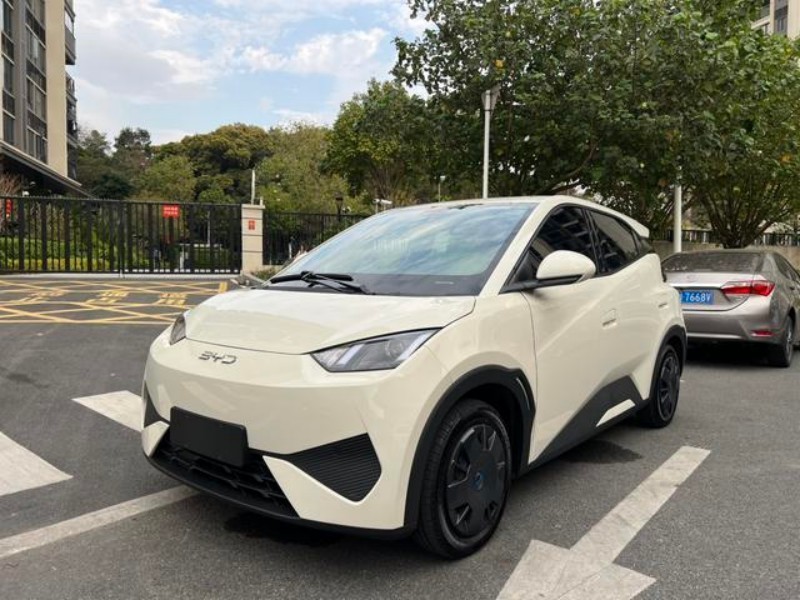 BYD Seagull 2025 305KM Vitality Edition